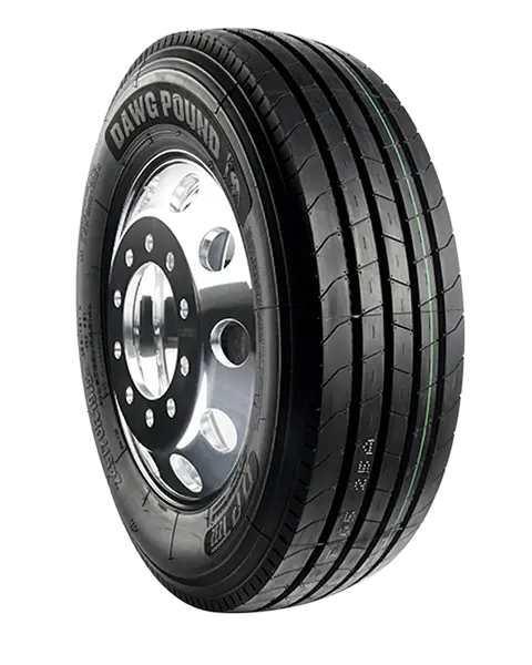 Dawg Pound Tires DPT232 Commercial Truck tire side view.